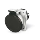 SCAME PARRE SPA - SCA413.63636 PRESA FISSA 2P+T IP44 63A 7H 480-500V CA