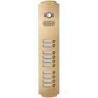 VIMAR SPA - VIW41630 PLACCA PATAVIUM 2F+ A/V 10 PULS. OTTONE