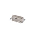 WIELAND ELECTRIC SRL - WIE70.710.2458.0 INSERTO MASCHIO BAS STC 24 50