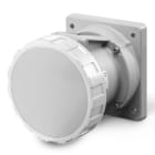 SCAME PARRE SPA - SCA428.63634 PRESA INCASSO DIR. 2P+T 3H 63A IP67