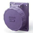 SCAME PARRE SPA - SCA435.3219 PRESA INC.<50V 3P 32A 24V IP67