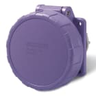 SCAME PARRE SPA - SCA435.3215/R PR.INC.RID<50V 2P 32A 24V IP67