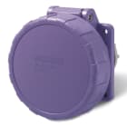 SCAME PARRE SPA - SCA435.1619/R PR.INC.RID<50V 3P 16A 24V IP67