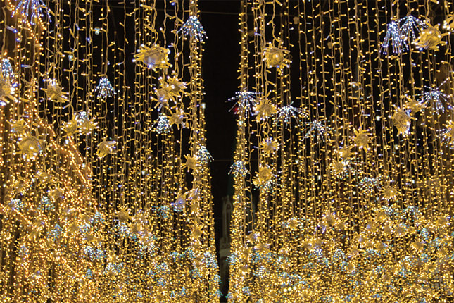 WIMEX - WIM4501170 TENDA20X15LED WARM 2X1,5M FLAS