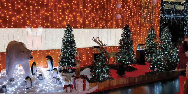 WIMEX - WIM4501928W TENDA 144LED WARMFLASH CONN