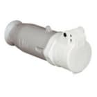 PALAZZOLI - PAL473105 CEE PR MOB 2P 32A 42V 12H IP44