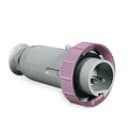 PALAZZOLI - PAL477176 CEE SP MOB 3P 32A 24/42V 4H IP67