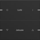 GIRA - GIR5032905 Wippenset 2f indiv. Tastsens.4 TS4 Schwa