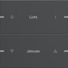 GIRA - GIR5032928 Wippenset 2f indiv. Tastsens.4 TS4 Anthr