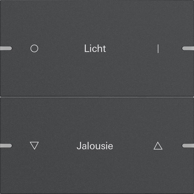 GIRA - GIR5032928 Wippenset 2f indiv. Tastsens.4 TS4 Anthr