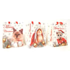 GIOCOPLAST NATALE SP - GCP51515407 SHOPPER CM 23 X 18 - 3 ASS