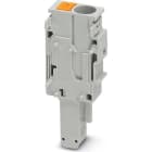 PHOENIX CONTACT - PHC3061693 Maschio