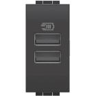 BTICINO - BTIL4191AA LL - CARICATORE USB TIPO A+A 1M ANTRACIT