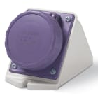SCAME PARRE SPA - SCA535.01610 PRESA PAR.INC<50V 2P 16A 24V IP67