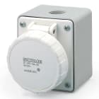 SCAME PARRE SPA - SCA535.1611 PRESA DA PARETE