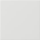 GIRA - GIR536003 S3000 Bedienaufs. System 55 Reinweiss