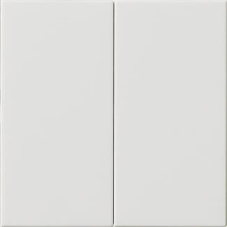 GIRA - GGI536203 S3000 PANN.COMANDO 2X SYSTEM 55 BNC PURO