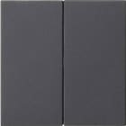 GIRA - GGI536228 S3000 PANN.COMANDO 2X SYSTEM 55 ANTRACIT