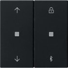GIRA - GGI5367005 TIM.VEN./LUCI S3000 BT FRECCE SYSTEM 55