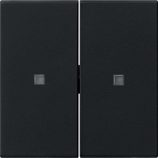 GIRA - GGI5369005 Wippe 2f unbedruckt Kontrollf. System 55