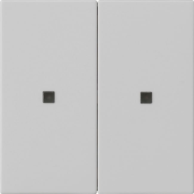 GIRA - GIR5369015 Wippe 2f unbedruckt Kontrollf. System 55