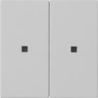 GIRA - GGI5369015 Wippe 2f unbedruckt Kontrollf. System 55
