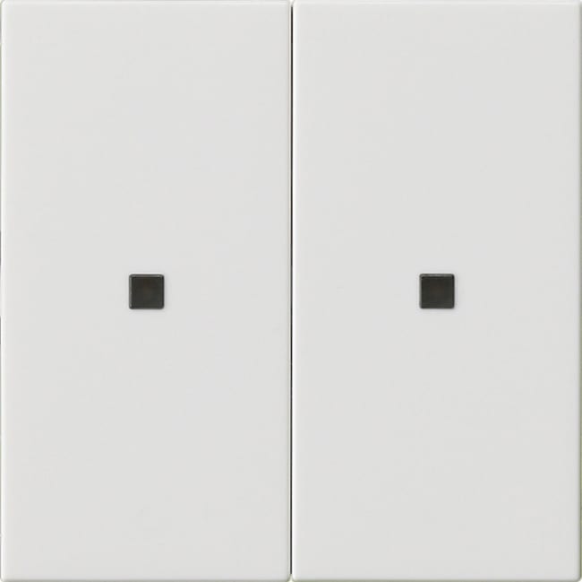 GIRA - GIR536903 Wippe 2f unbedruckt Kontrollf. System 55