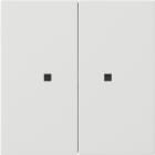 GIRA - GIR5369112 Wippe 2f unbedruckt Kontrollf. Flachensc