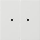 GIRA - GIR5369112 Wippe 2f unbedruckt Kontrollf. Flachensc