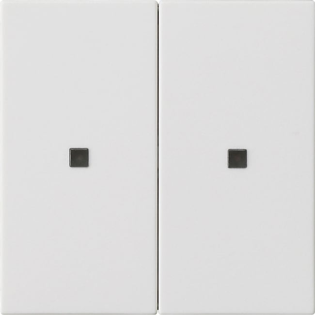 GIRA - GIR536927 Wippe 2f unbedruckt Kontrollf. System 55