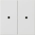GIRA - GGI536927 Wippe 2f unbedruckt Kontrollf. System 55