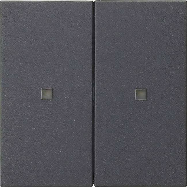 GIRA - GGI536928 BIL. 2M NON STAMPATO FIN.CTRL. SYSTEM 55