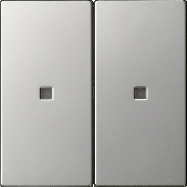 GIRA - GGI5369600 Wippe 2f unbedruckt Kontrollf. System 55