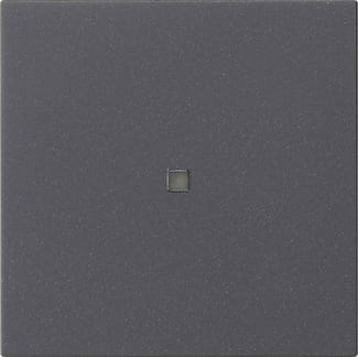 GIRA - GGI537128 BIL. 1M NON STAMPATO FIN.CTRL. SYSTEM 55