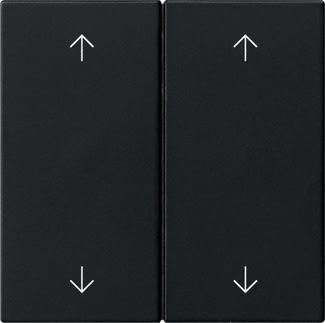 GIRA - GIR5387005 Wippe 2f Pfeile System 55 Schwarz m