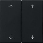 GIRA - GIR5387005 Wippe 2f Pfeile System 55 Schwarz m