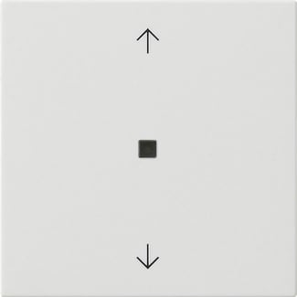 GIRA - GIR538803 BIL. 1-M FRECCE FIN.CTRL.