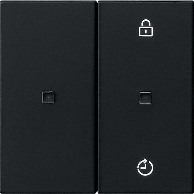 GIRA - GIR5493005 PANN.COM. RADIO GIRA ENET MEMORY SYSTEM
