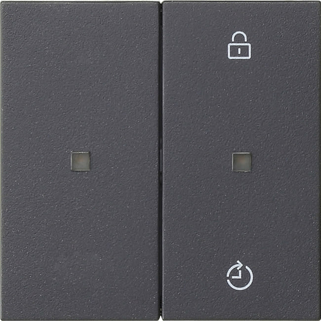 GIRA - GIR549328 PANN.COM. RADIO GIRA ENET MEMORY SYSTEM