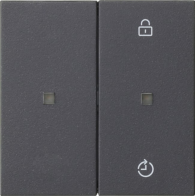 GIRA - GIR549328 PANN.COM. RADIO GIRA ENET MEMORY SYSTEM