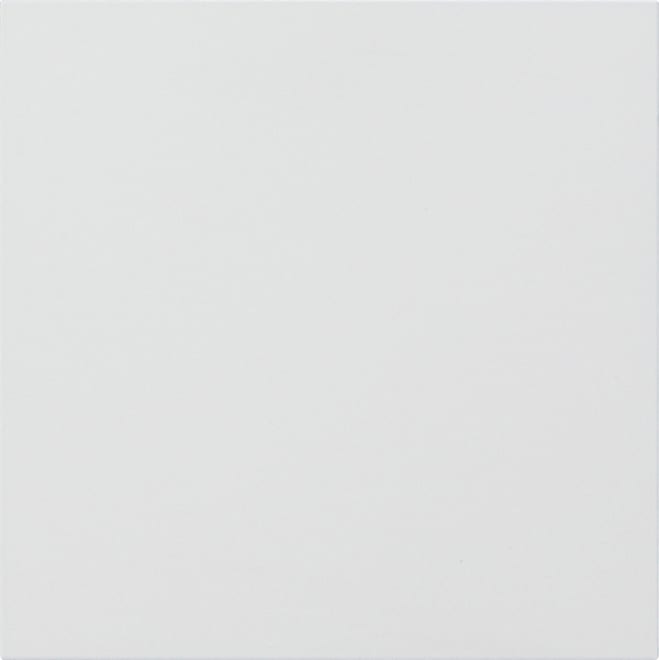 GIRA - GIR5554902 Frontpl. Info-/Blindmodul System 106 Ver