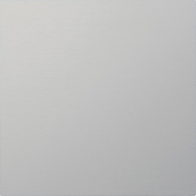 GIRA - GIR5554926 Frontpl. Info-/Blindmodul System 106 Alu