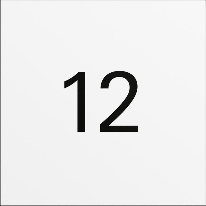 GIRA - GIR5560902 Info-Modul System 106 Verkehrsweiss(lack