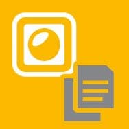 PILZ ITALIA SRL - PIZ773010B BASIC LICENSE