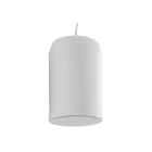 VIVALDI SRL - VILAIR20T VIVALDI EN54_DIFF 20W/100V IP33