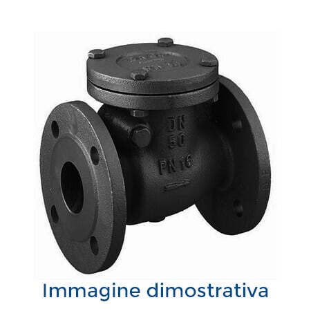 DAB PUMPS SPA - DAB60160631 VALVOLA DI RITEGNO A PALLA DN 80 DAB
