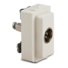 MASTER SRL - MST6054 PRESA TV DIA.9.5MM PASSANTE-FINALE