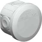 OBO BETTERMANN - OBO2007029 T 25 SCATOLA DI DERIVAZIONE