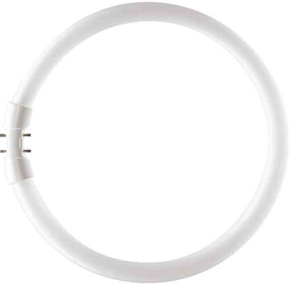 SIGNIFY ITALY SPA - PHLTL5C2284 MASTER TL5 CIRCULAR 22W/840 1CT/10