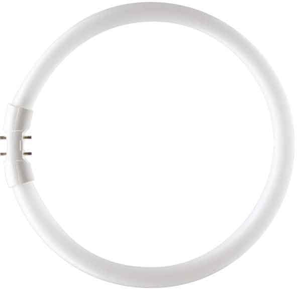 SIGNIFY ITALY SPA - PHLTL5C4084 MASTER TL5 CIRCULAR 40W/840 1CT/10